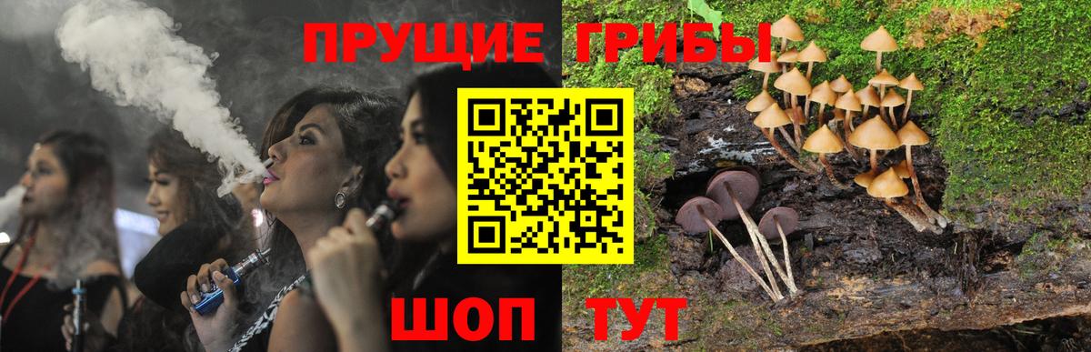 Псилоцибиновые грибы MAGIC MUSHROOMS Кизилюрт