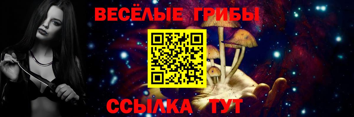 Кизилюрт  цена наркотик  Вход с VPN  Псилоцибиновые грибы ЛСД 